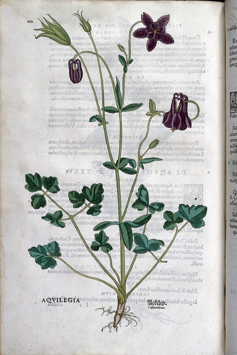 Nu al zin in vrijdag in het allereerste Librijecafé. Met als thema 'de Librije als levend erfgoed' inclusief fantastische sprekers en een heuse speeddate met Librijeboeken! Ook zin om te komen? Bekijk snel het hele programma en meld je aan.
samh.nl/nieuws/librije…