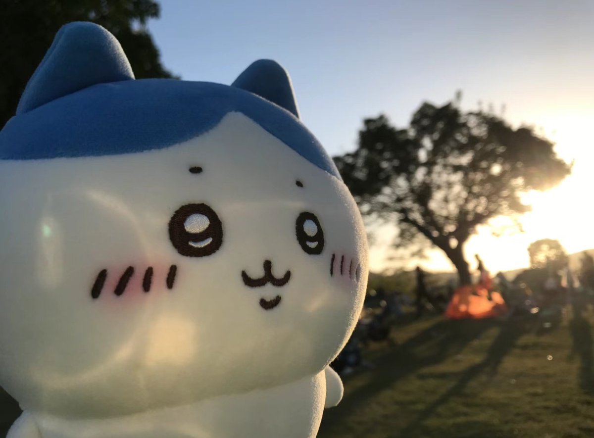 zhonghuifufu's tweet photo. ���朋友 我知道你现在很难过 最近发生了很多令你烦心的事 但是这些都会过去的 我们总要继续我们的生活 所以别再被别人左右情绪啦 我们又不差对吧 一切都会好起来的 别怕 我在呢 https://t.co/LYOC3PBi9X