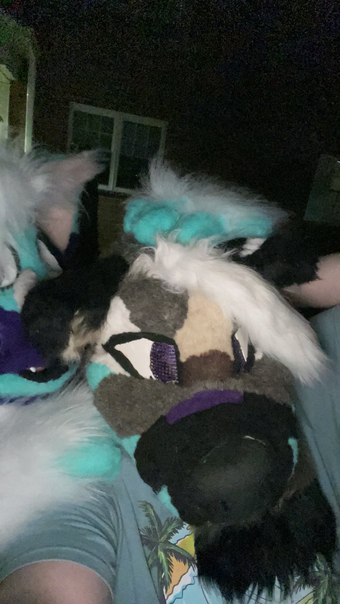 SparkOwOAD's tweet photo. My friend traded me a fursuit for fbt they’re so cute!!!!! https://t.co/ASNHMVNTMa