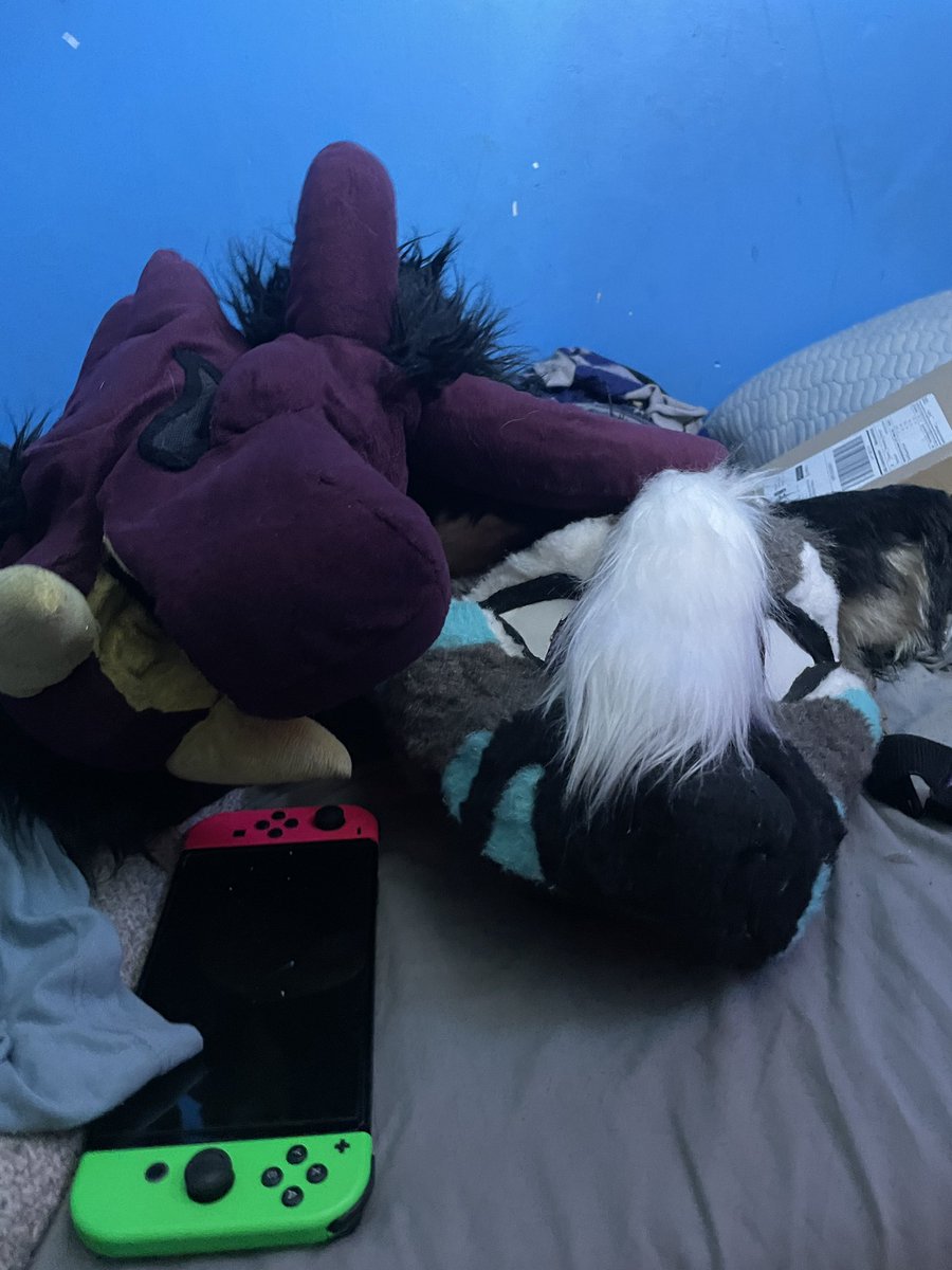 SparkOwOAD's tweet photo. My friend traded me a fursuit for fbt they’re so cute!!!!! https://t.co/ASNHMVNTMa
