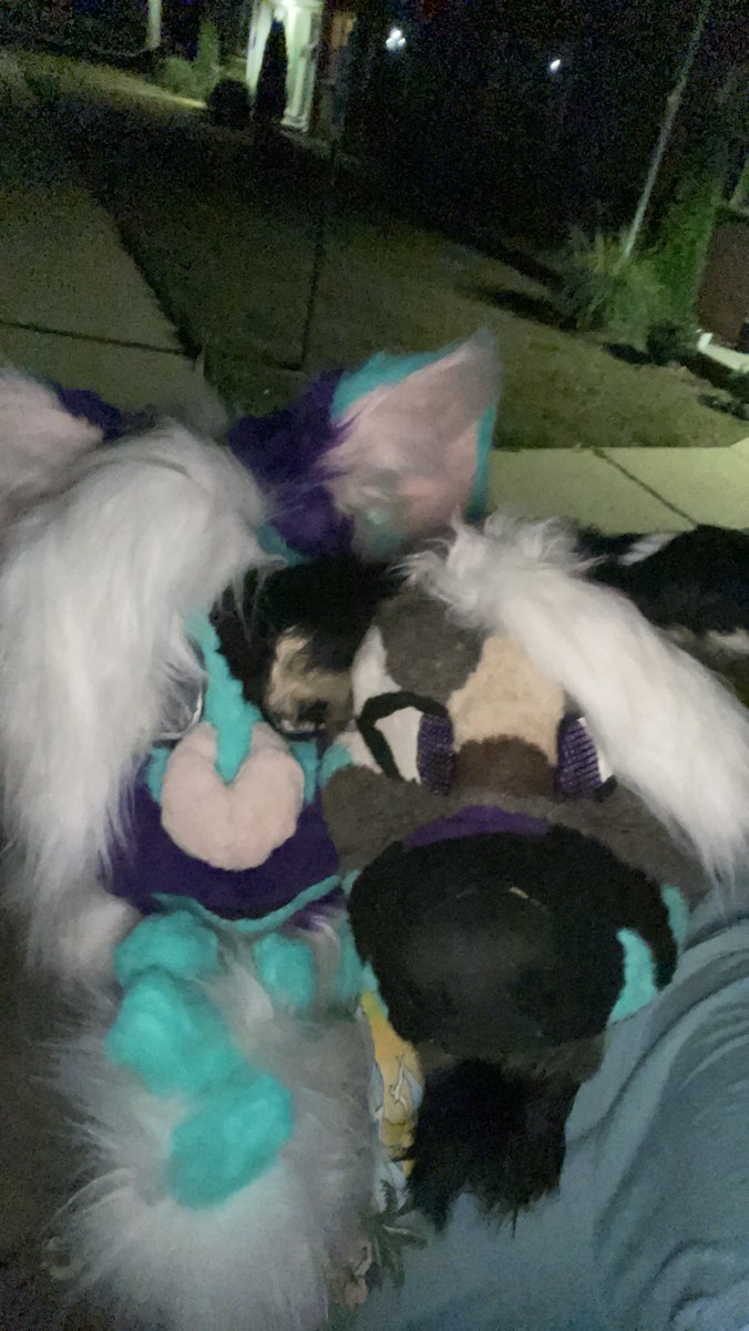 SparkOwOAD's tweet photo. My friend traded me a fursuit for fbt they’re so cute!!!!! https://t.co/ASNHMVNTMa