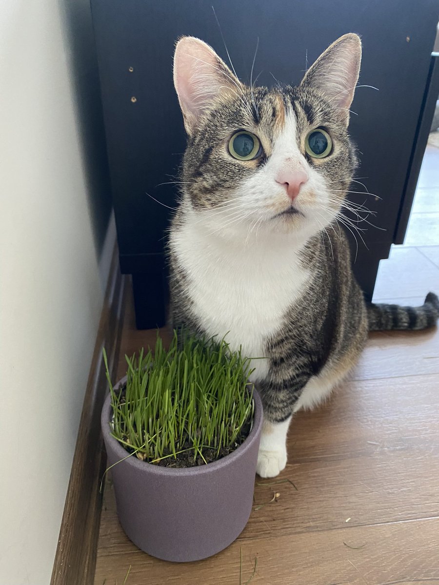 Kendime kadar yetiş tiriyorum