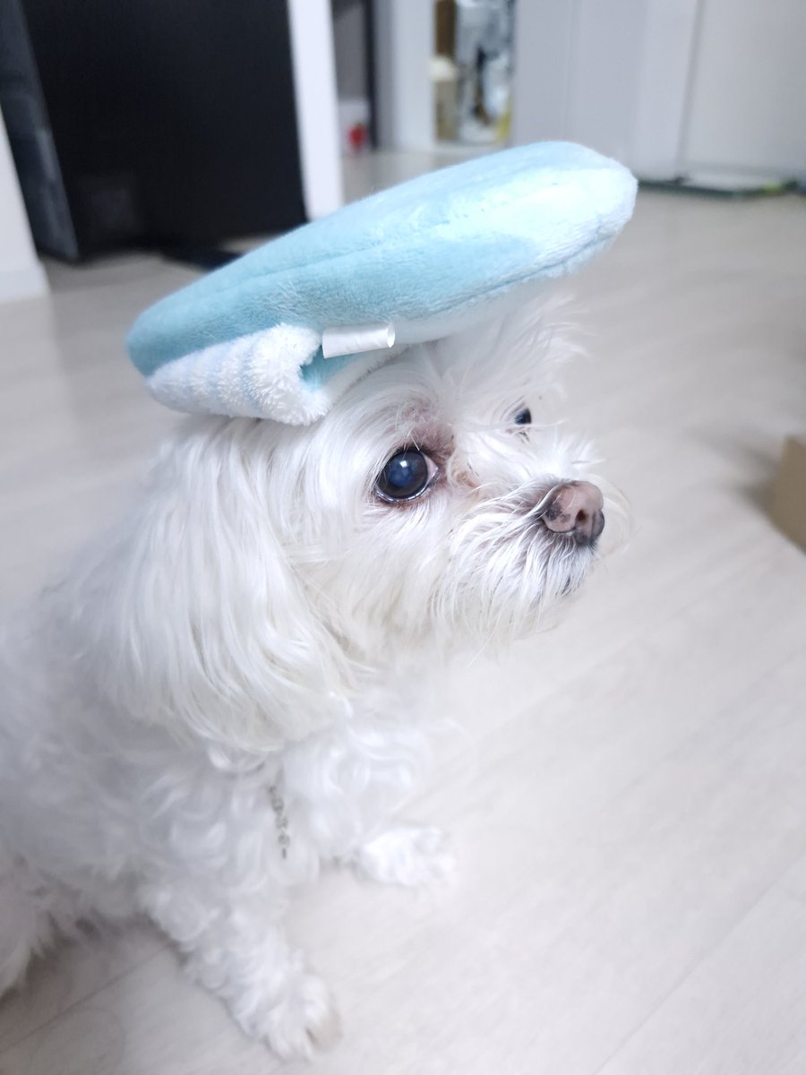 reuyen's tweet photo. 아앙? 코ㄹㄹㄹㄹㄹㄹㄹㄹㄹㄹㄹ롸 https://t.co/1sKyMZzxRc