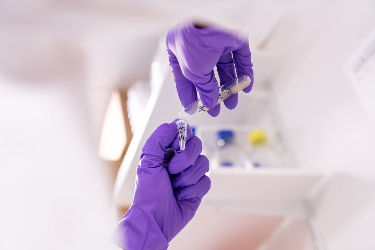 School of Health & Medical Sciences tweet media