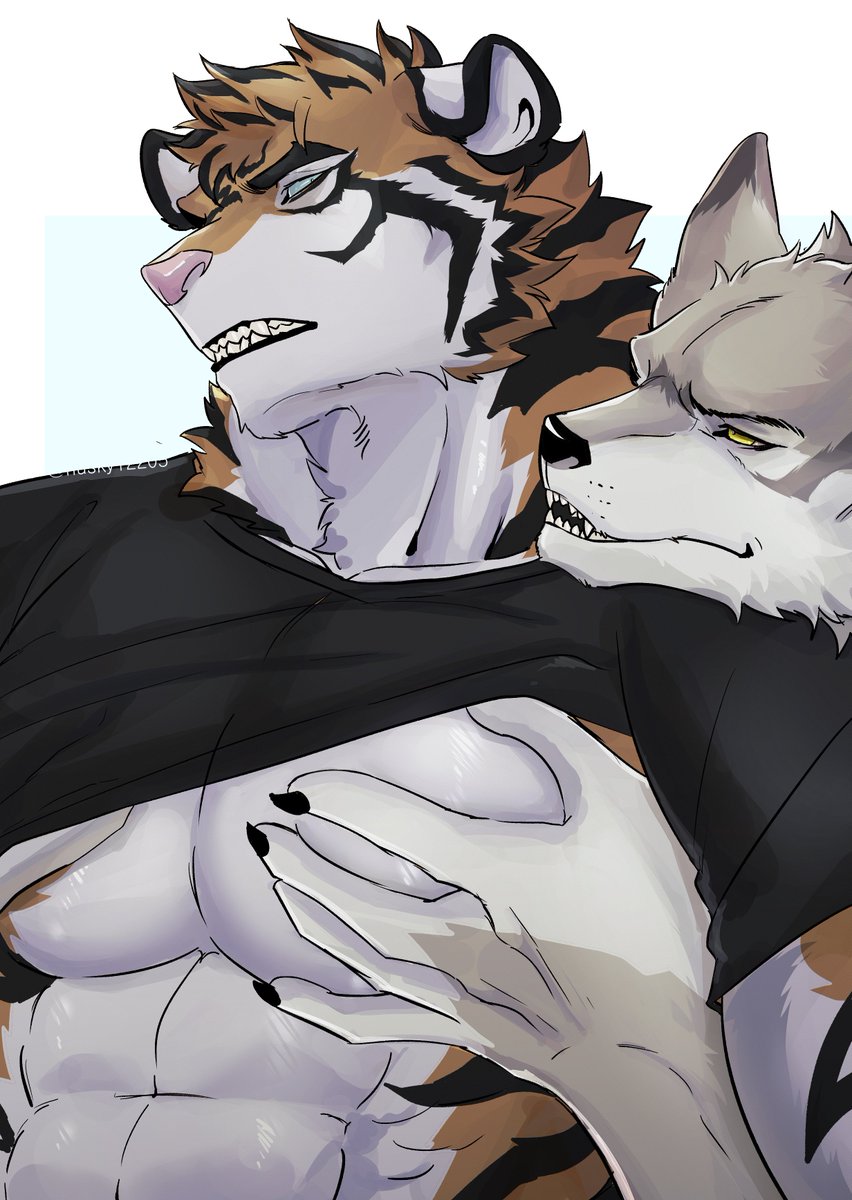husky12205's tweet photo. https://t.co/roLbEG5lQN