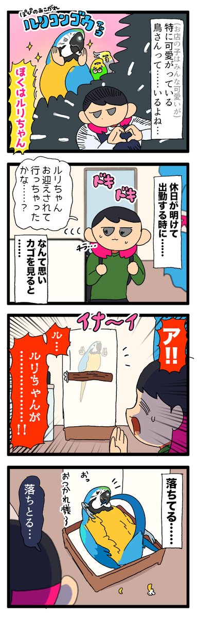 鳥カゴにルリちゃんが居ない……!?!? って思ってよく見てみるとだいたい床でゴロゴロしてる😃
1927 #えるポピの絵日記かくところ