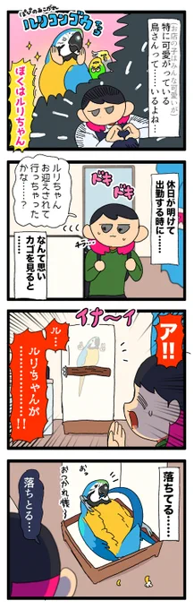 鳥カゴにルリちゃんが居ない……!?!? って思ってよく見てみるとだいたい床でゴロゴロしてる😃

1927 #えるポピの絵日記かくところ 