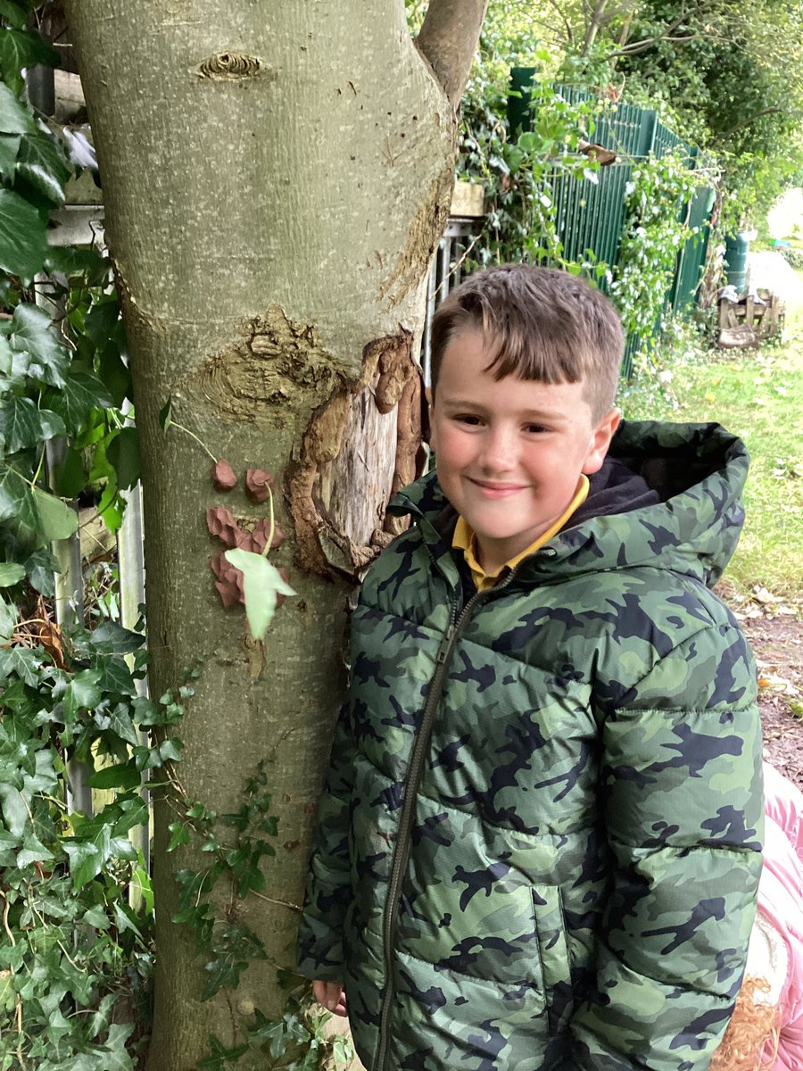 stdavidsrc2017's tweet photo. We used our natural resources and clay to make tree faces today. It was great fun and we had some amazing facial expressions created by Dosbarth Tri. #sdpsy3 #learningthroughlandscapes https://t.co/e911kaLunx