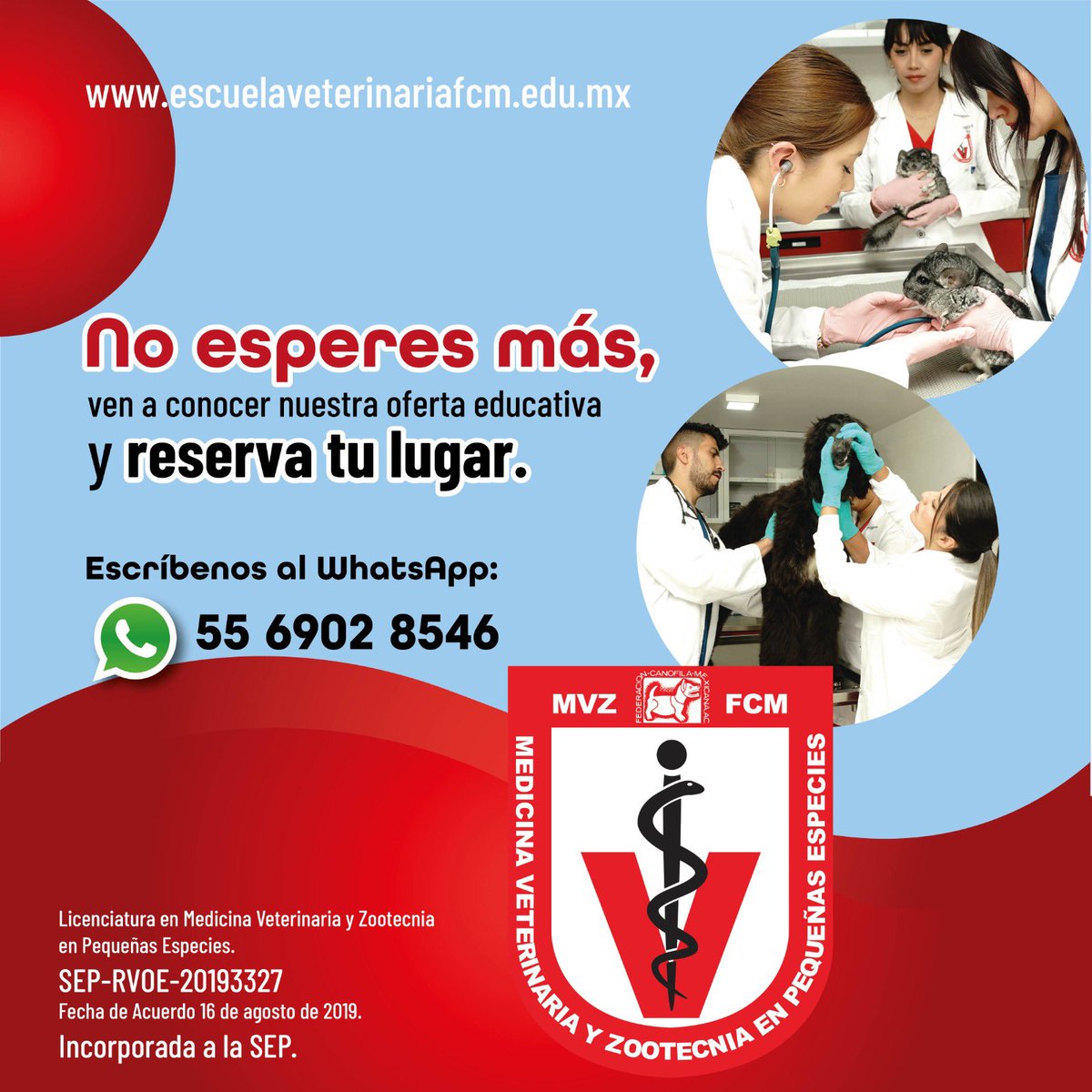 EscuelaFcm's tweet photo. No esperes más y visítanos, te mostraremos el por qué debes estudiar con nosotros si quieres ser Médico Veterinario Zootecnista en perros, gatos y animales de compañía no convencionales. 

Programa una cita.
WhatsApp: 55 6902 8546
https://t.co/u3HEem0oSD https://t.co/0Z1Tb9XcDz
