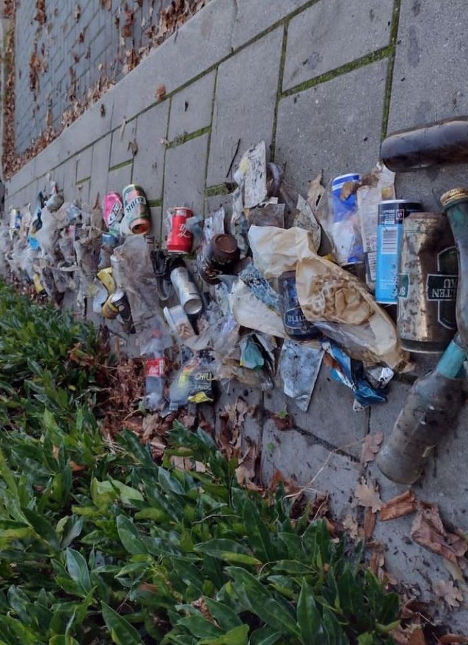 Bankz220's tweet photo. @cleanify_vet litter count corrected 
#cleanchallenge https://t.co/EbXkBNycYk