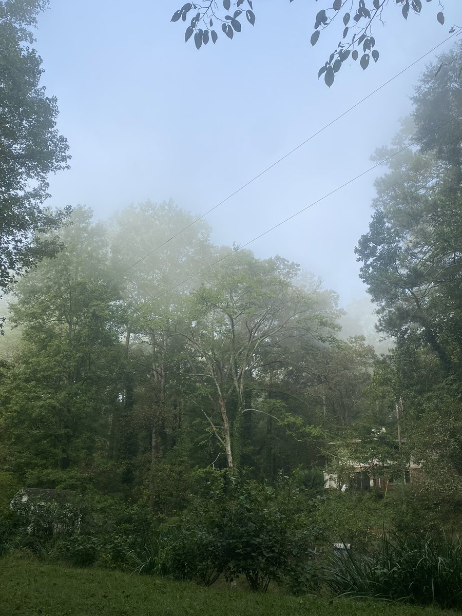 patrickwnichols's tweet photo. Conyers, GA chemical fire has put the community at enormous risk with the shelter in place order. Chlorine filled gas is surrounding our homes 6 miles away from the fire, officials will absolutely need to be held accountable. #chemicalfire #Conyersfire #BreakingNews https://t.co/RphmC61qjx