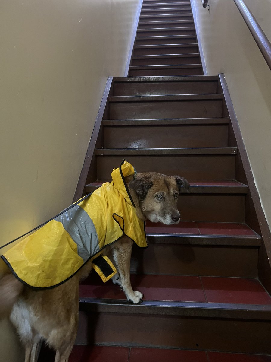 color temperature tweet media