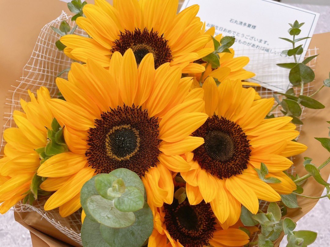 石丸「ん？誰だ、こんな物を学校に持ってきたのは！？ダメじゃないか、処分対象だぞ！え？これは僕へのプレゼント…だって？そ、そうか…ならば、処分を受けるのは僕という事だな。これはありがたく受け取って僕のモノになった訳だからな！そうだ、確か兄弟が追試を受けると言っていたな…うむ！2人で