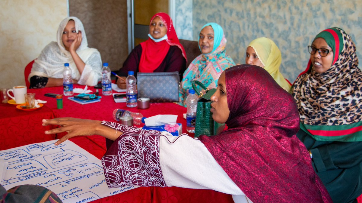 How can the Women’s Dialogue Space in the Somali region of Ethiopia turn the tide against patriarchal norms and structures &amp; work through barriers that exclude women from political influence? Find out in our latest report: buff.ly/47PmKKt