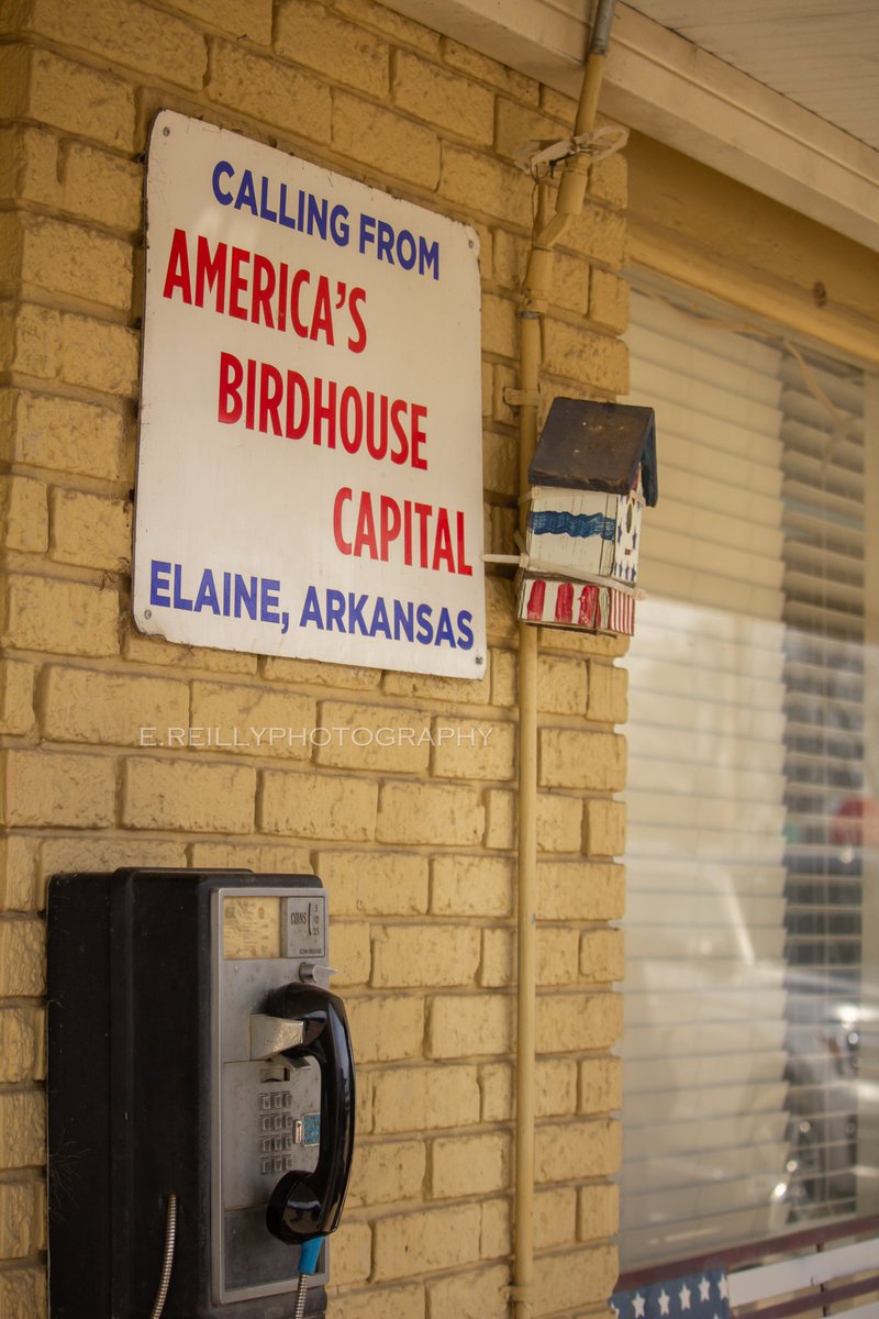 Eli Thompson (@eli_thompsonnn) on Twitter photo Super excited to announce that Civil Wrongs Season 4 is now live! I had so much fun last semester working on this project, and I'm so glad I finally get to share it.
psrmemphis.org/civil-wrongs-p… <a href="/psr_memphis/">Institute for Public Service Reporting</a> #Elaine #TheElaineMassacre1919 Super excited to announce that Civil Wrongs Season 4 is now live! I had so much fun last semester working on this project, and I'm so glad I finally get to share it.
psrmemphis.org/civil-wrongs-p… <a href="/psr_memphis/">Institute for Public Service Reporting</a> #Elaine #TheElaineMassacre1919