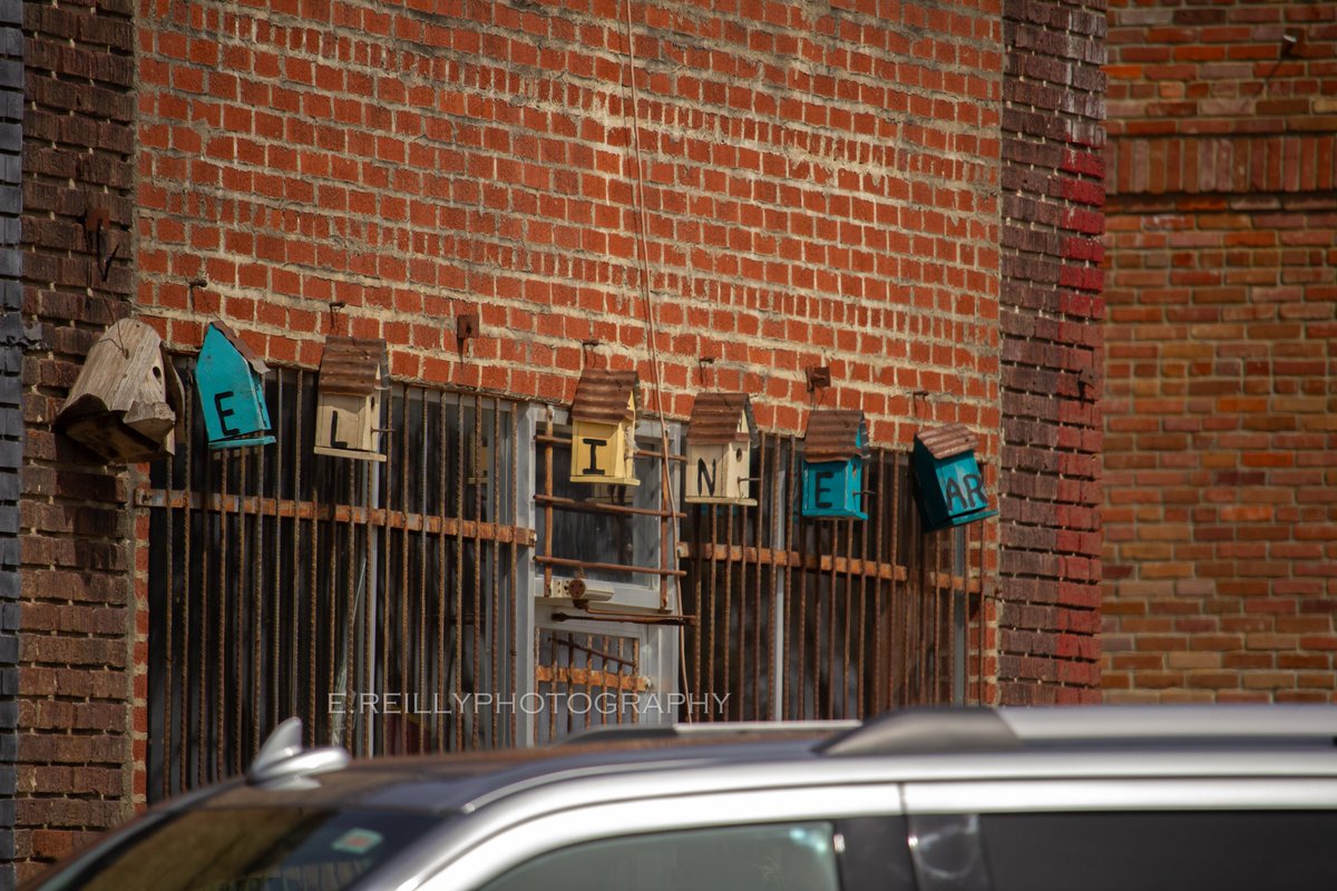 Eli Thompson tweet media