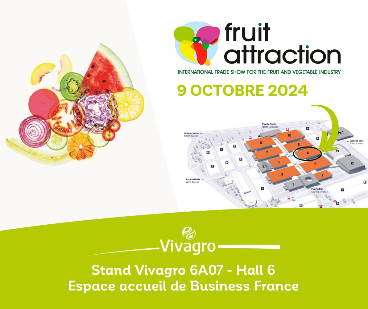 🍊 RDV à Madrid pour l’incontournable Salon <a href="/FruitAttraction/">Fruit Attraction</a> ! Retrouvez-nous le 9 oct. sur le stand Vivagro n°6A07 au sein de l’espace accueil de Business France (Hall 6) !

#FruitAttraction #IFEMA #FruitAttraction24