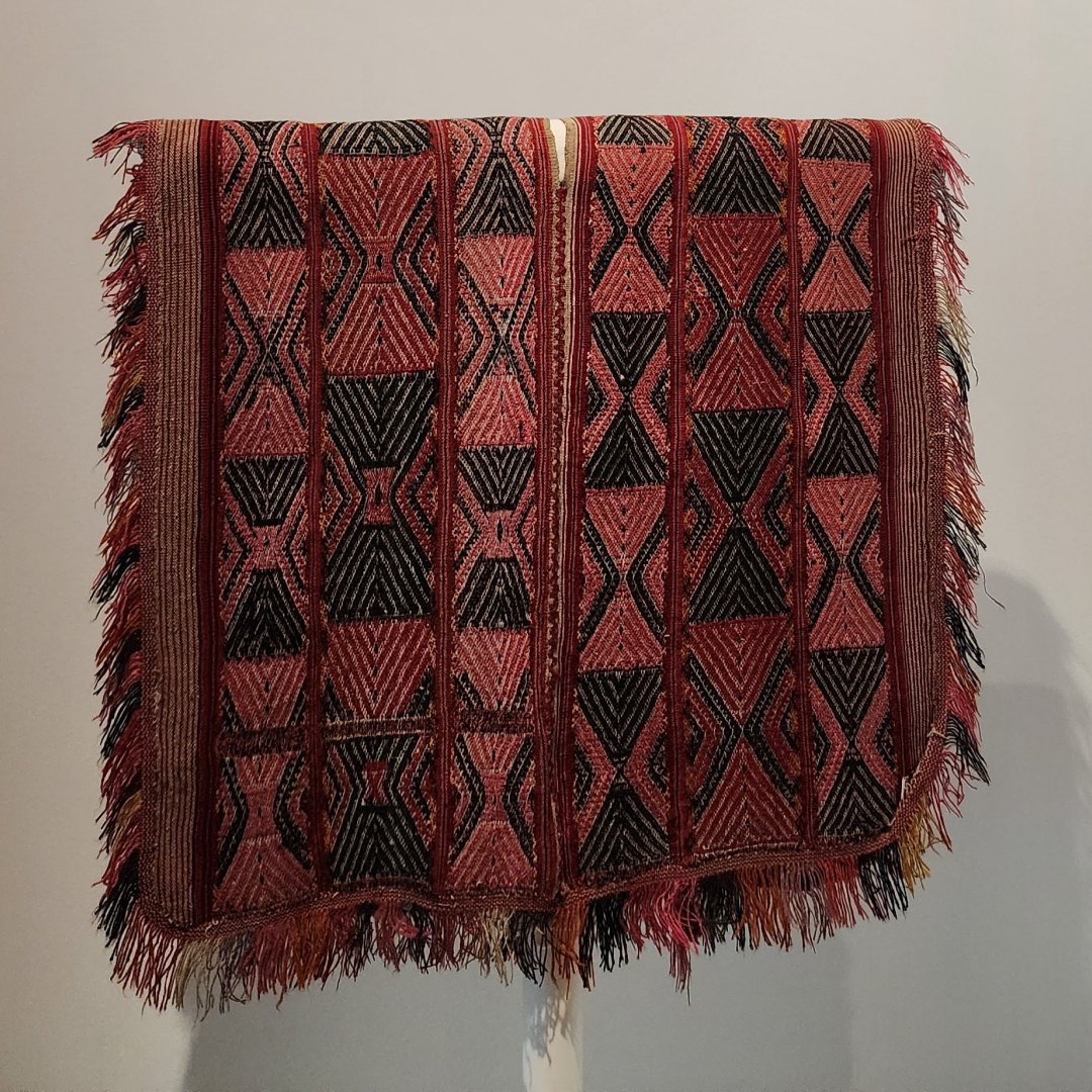 Matson Museum of Anthropology tweet media