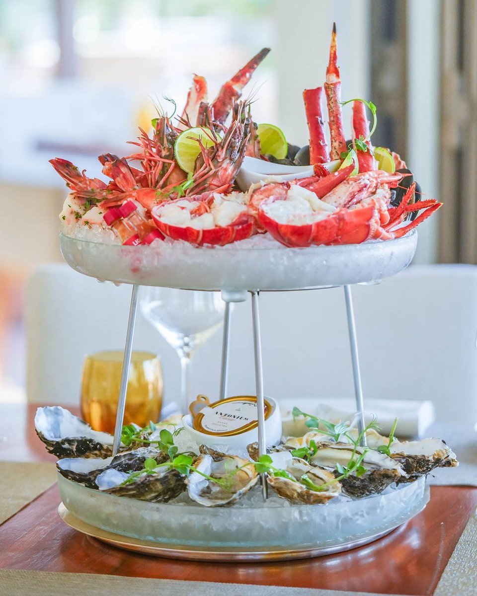 Join us at Finz for an exquisite seafood journey, where each bite of our Fruits De Mer captures the refined essence of the ocean.

**
For reservations, call 026979186. Link in bio.

#FinzAbuDhabi #FinzMoments #BeachRotana #RotanaAtTheTable #inAbuDhabi #MichelinSelect