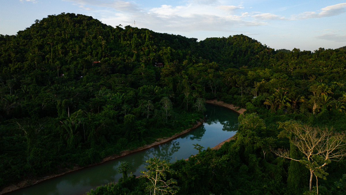 Discover the wild beauty of Belize at Ian Anderson's Caves Branch Adventure Company &amp; Jungle Lodge, where 58,000 acres of untamed rainforest are yours to explore! #JungleLife #AdventureAwaits #Belize #TravelBelize #familyvacation #explorebelize #vacationmode