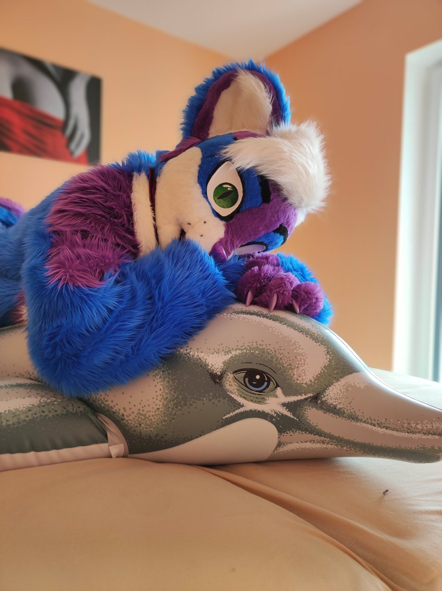 Auge zu Auge, Seele neigt sich auch.

#furry #fursuit #furries #furrcat #inflatableworld