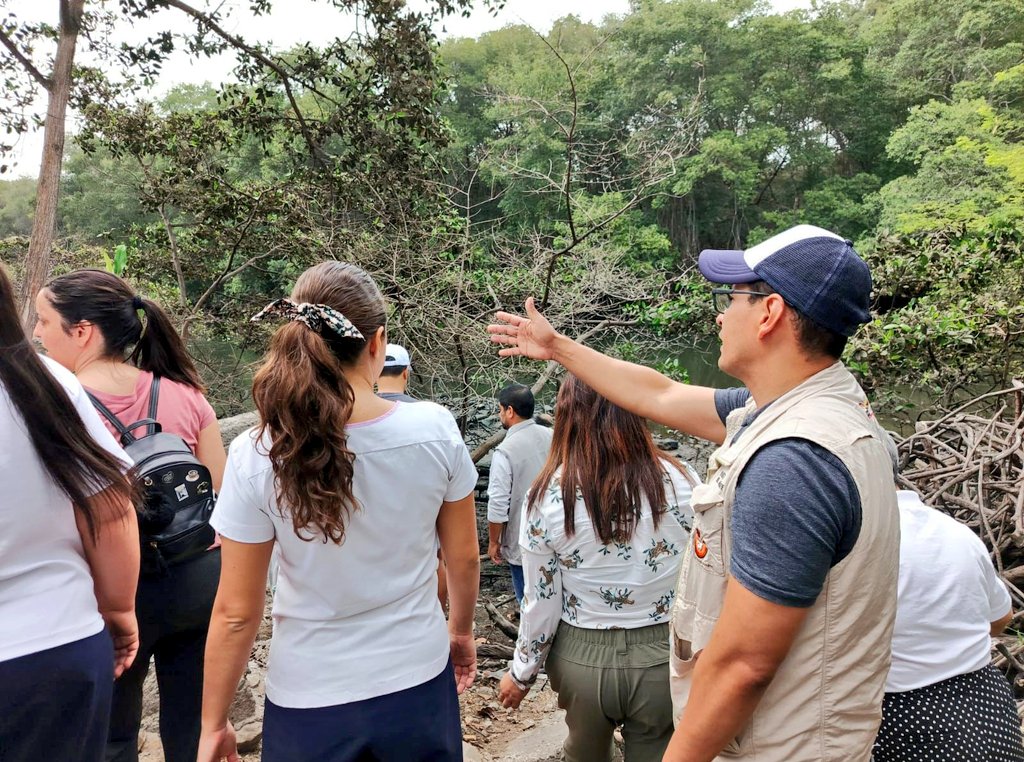 MAATE_Zonal5's tweet photo. Participamos en la feria de la Urb. Puerto Azul, donde la #DIMACO y #NuestrosGuardaparques de las Áreas Protegidas: Manglares El Salado y Parque Lago de @Ambiente_Ec, informaron sobre la importancia y beneficios del ecosistema manglar, y realizaron una siembra simbólica. https://t.co/rc28tvLMDd