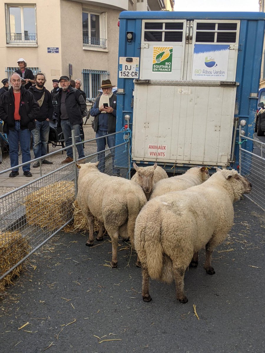 Nous attendons des réponses concrètes du gouvernement <a href="/MichelBarnier/">Michel Barnier</a> <a href="/AnnieGenevard/">Annie Genevard</a> l'occasion du Sommet de l'élevage qui a lieu cette semaine face aux crises sanitaires #FCO 3 et 8 et #MHE. <a href="/reussirpatre/">Réussir Pâtre</a> <a href="/FranceAgricole/">La France Agricole</a> <a href="/TerrenetFR/">Terre-net.fr</a> <a href="/lemondefr/">Le Monde</a> <a href="/libe/">Libération</a> <a href="/humanite_fr/">L'Humanité</a> <a href="/ContexteAgro/">Contexte Agro</a>