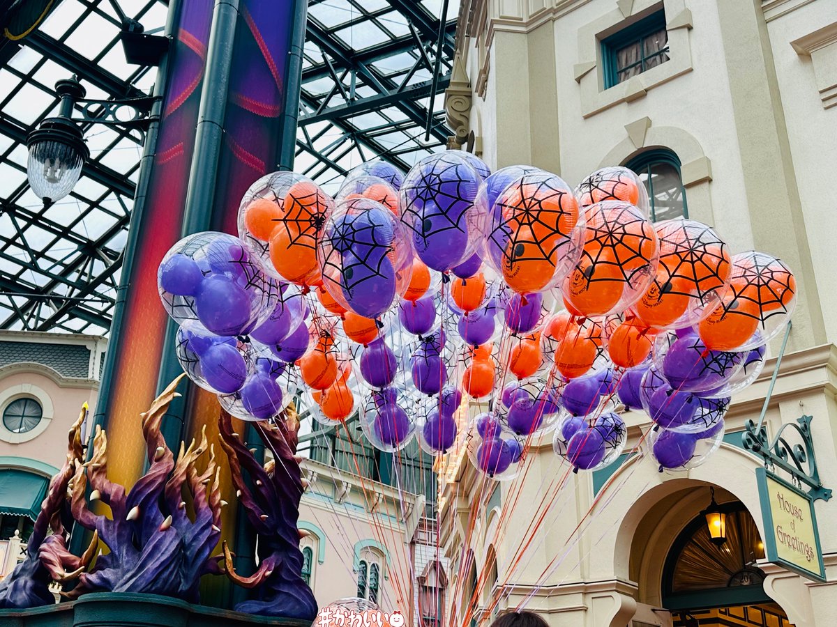 🌈🌻🐣かおり🐣🌻🌈 tweet media