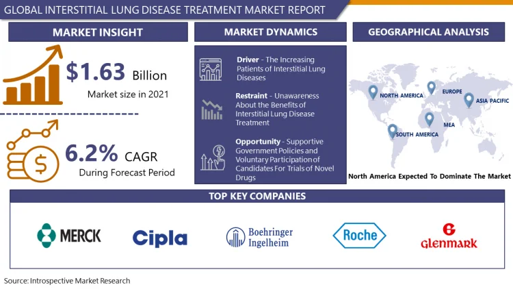 Sahil90672127's tweet image. Lungs are pair of spongy organs that are responsible for the exchange of gases in the human body. Lungs are located on either side of the chest and are protected by the rib cage.

Read More:
introspectivemarketresearch.com/reports/inters…

#Interstitial #Lung #Disease #Treatment