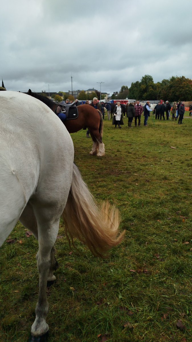 The ballinasloe fair today, quieter than usual but a lot of deals being done!