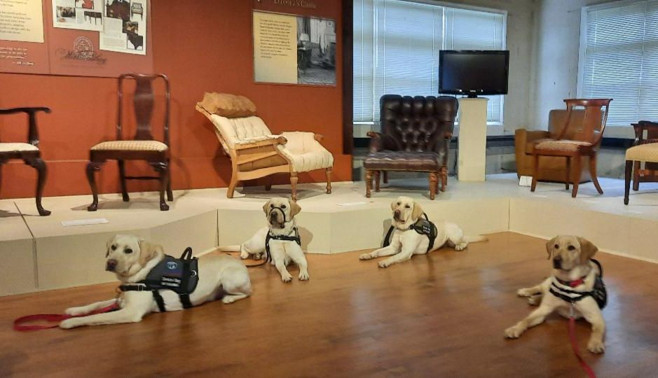 Being a Guardian means exposing pups to new experiences! 🐾 Our Canine Program pups have recently field tripped to Hancock Airport, the Stickley Museum (pictured here), and Destiny Mall. 

Learn more about how you can get involved: clearpath4vets.com/programs/canin…