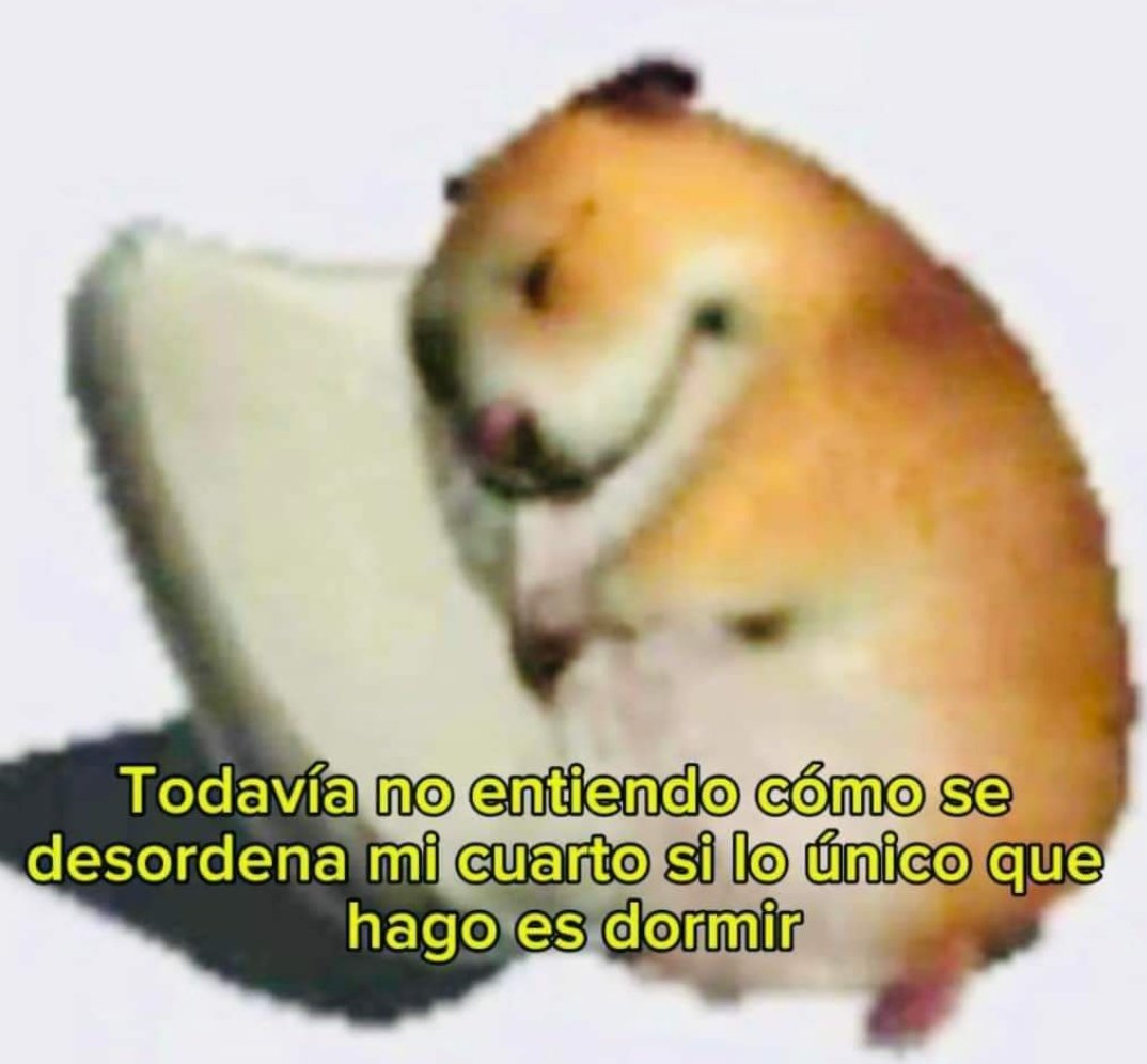 nacional_memes's tweet photo. https://t.co/1oDMVjeEoA