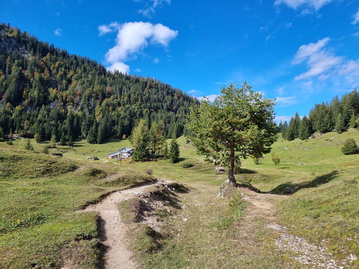 la_ontel's tweet photo. Über Kala-Alm, Jochalm und Höhlensteinhaus zum Köglhörndl.. https://t.co/EVjDzspqVW