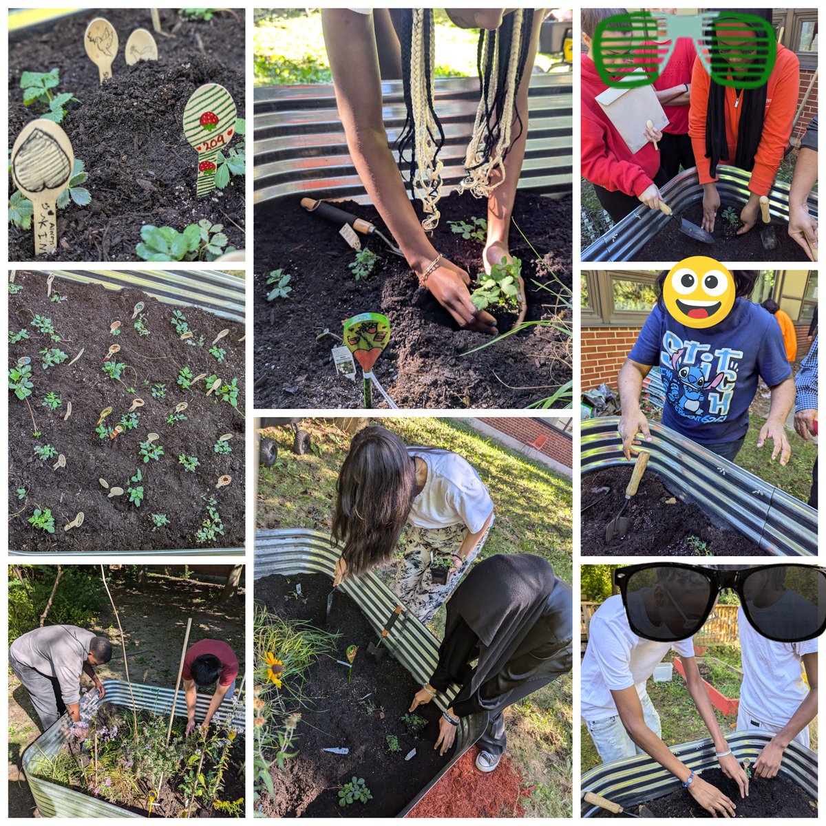 Chris Sands (@ccsands14) on Twitter photo Students at <a href="/TheHill_WHCI/">West Hill C.I.</a> participate in a school-wide event for #TruthAndReconciliationDay, planting strawberries to recognize the impact of Residential Schools and honour Indigeneity. Students at <a href="/TheHill_WHCI/">West Hill C.I.</a> participate in a school-wide event for #TruthAndReconciliationDay, planting strawberries to recognize the impact of Residential Schools and honour Indigeneity.