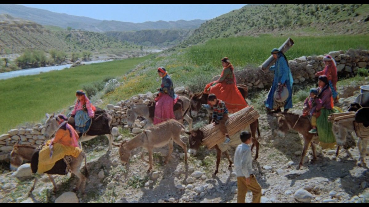 andrewmilward's tweet photo. #MohsenMakhmalbaf, Gabbeh (1996) https://t.co/xvZpd1ZmaG