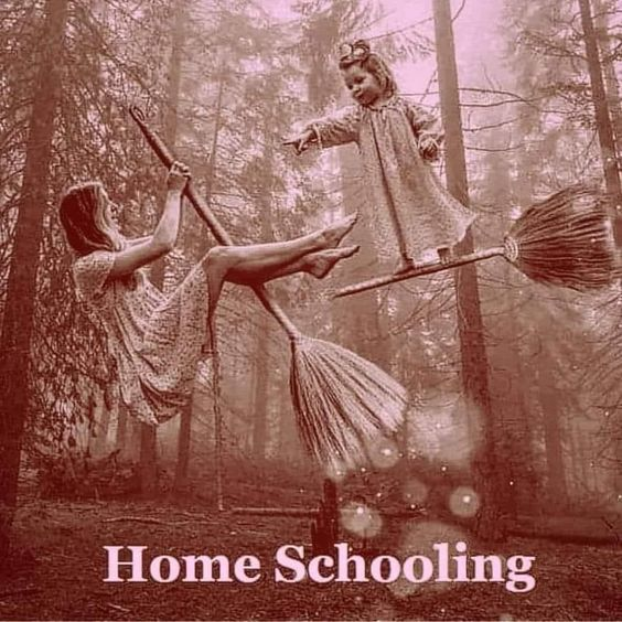 PopTop Firebird Galactica Rising (@poptoprising) on Twitter photo 