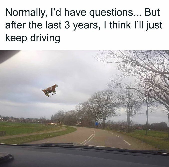 SteveO_11's tweet image. 