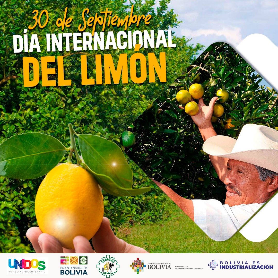 #DiaInternacionaldelLimón
El SENASAG en el DÍA INTERNACIONAL DEL LIMÓN, ratifica su compromiso de seguir trabajando en la orientación técnica y especializada a los productores frutícolas del país, para mejorar la condición fitosanitaria y  alcanzar nuevos mercados de exportación