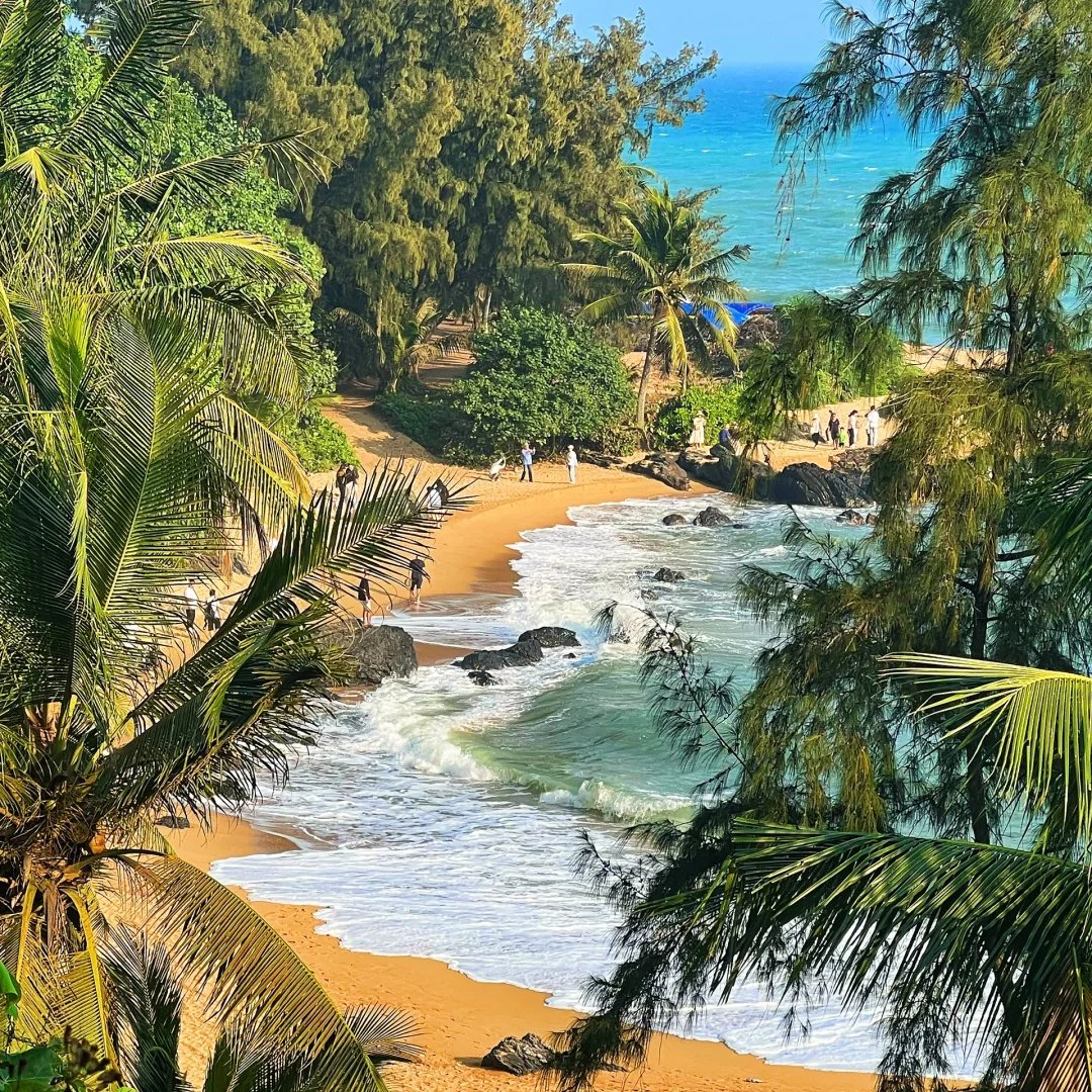 Graceeeaq's tweet photo. Blue sky, clear sea, fragrant coconut trees, surfing and playing in the water
In just two days, all my fantasies about the sea were fulfilled
· https://t.co/s90yVp3AJl