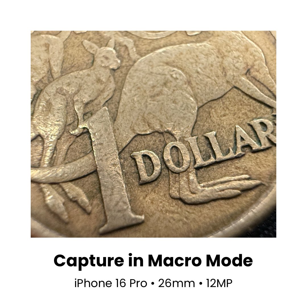 PhotoCatch tweet media