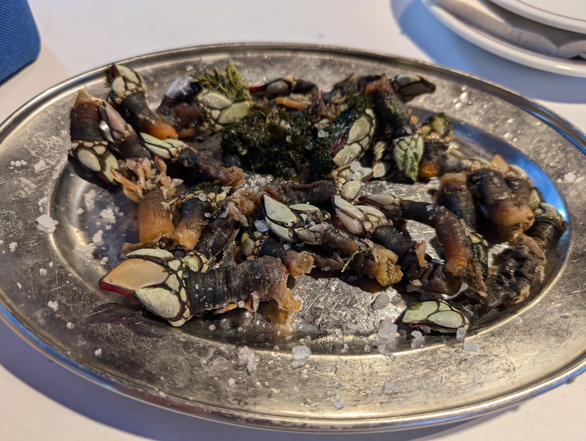Arguably some of the finest barnacles I've enjoyed in Lisbon, in September, on a Monday night
