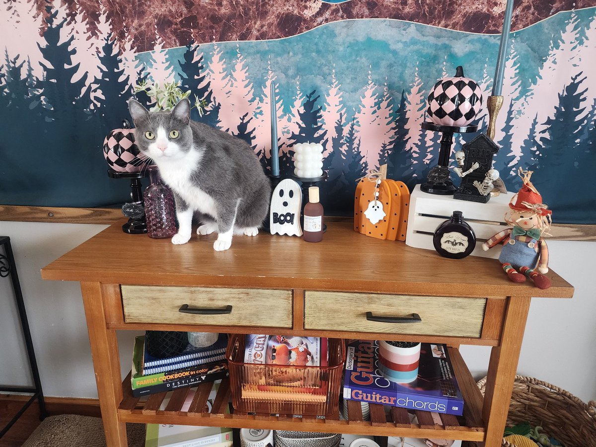 It's that time already. Cayde is Happy for Halloween 🎃