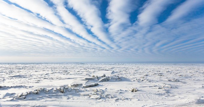 🚨🚨MALAS NOTICIAS PARA LOS FANÁTICOS DEL CAMBIO CLIMÁTICO!

EL HIELO ANTÁRTICO NO PARA DE CRECER: La Plataforma Helada creció 5.305 Kms2 entre 2009 y 2019 (en 10 años). Son las conclusiones del estudio reciente publicado en la WEB de Geociencias (EGU)
👇
eldebate.com/sociedad/socie…