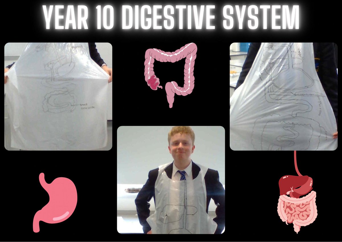 Year 10 learners have been answering the question of how materials for cellular respiration are obtained. 
What better way to familiarize learners with the digestive system than to model the system on aprons.