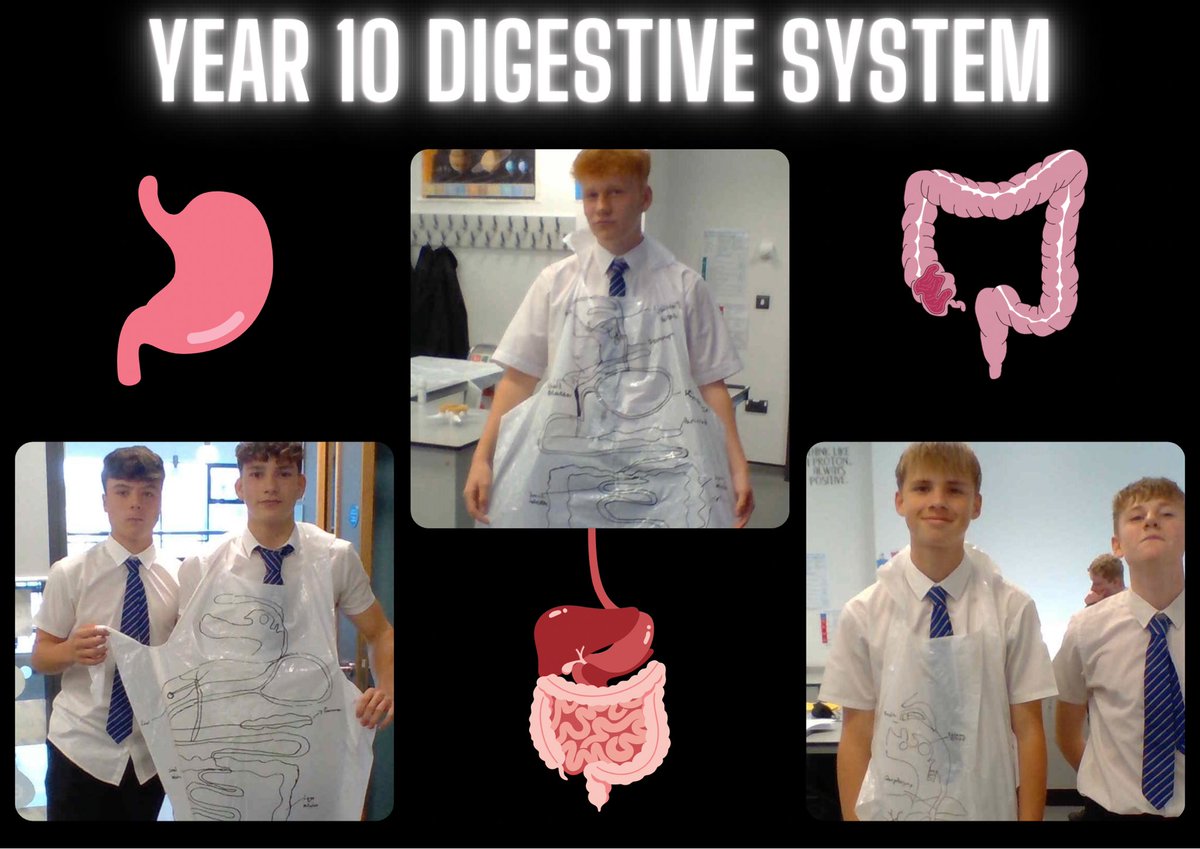 SciTechCroesy's tweet photo. Year 10 learners have been answering the question of how materials for cellular respiration are obtained. 
What better way to familiarize learners with the digestive system than to model the system on aprons. https://t.co/x6fQxDAE3e