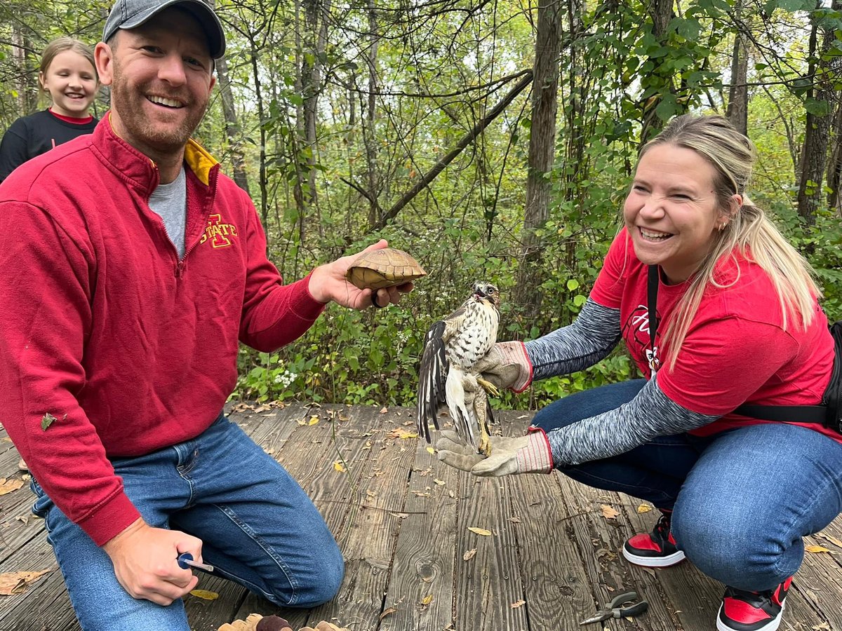 The look of shock and embarrassment 😧😳

Staff at Runge Nature Center freed this juvenile broad-winged hawk that had several toes caught in the shell of a box turtle!