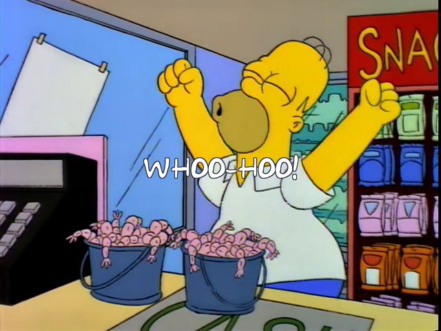 FM_Simpsons's tweet photo. #FM25 https://t.co/MFEvN7yIo7