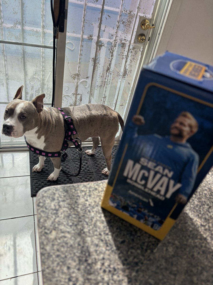 LosAngelesRam91's tweet photo. S/O to my brother @illest_Mike86 
Always nice seeing friendly faces at work and catching up.
Thank you for making sure i didn’t miss on the Coach McVay bobble knowing i was stuck across the street Running the Usher concerts 💙💛 #Ramily #RamsHouse https://t.co/MqkZjtUV4E