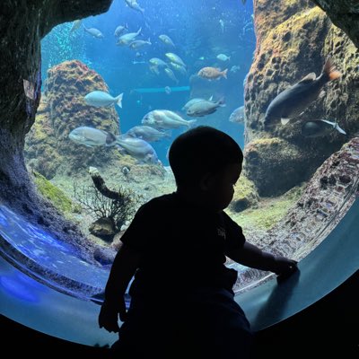 kikiatsuki's tweet photo. #新しいプロフィール画像 https://t.co/GUuCc6kkQ0