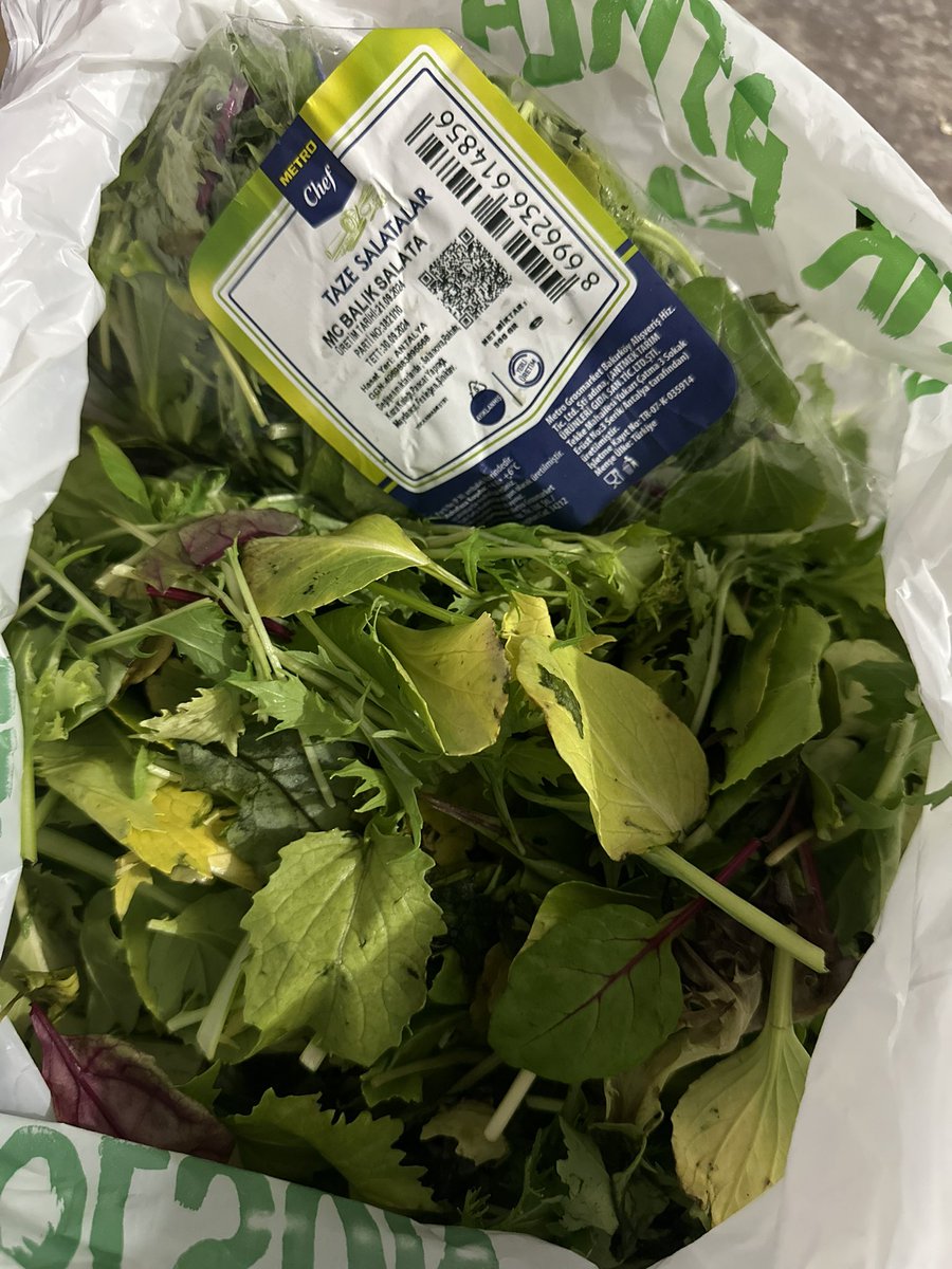 Taze sloganı ile satışa sunduğunuz Balık Salatanın iç orta kısımları komple çürük ve sararmış.
Paketin kenarlarına görsel amaçlı taze salata eklenmiş.
Çalışan insanların kolay, pratik, taze ve Metro güvencesine dayanarak aldığı ürün tarafından kandırılması hoş değil.

<a href="/MetroTR/">Metro Türkiye</a>